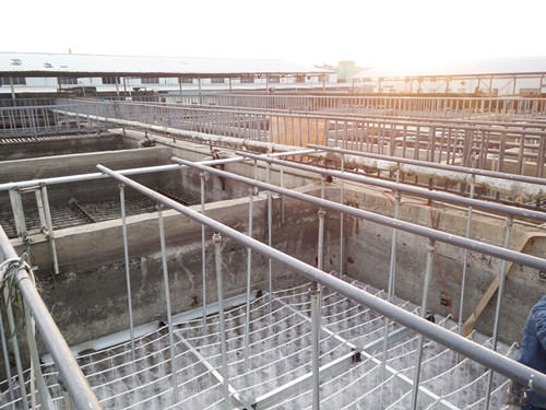 軟性填料安裝工程結束效果預覽