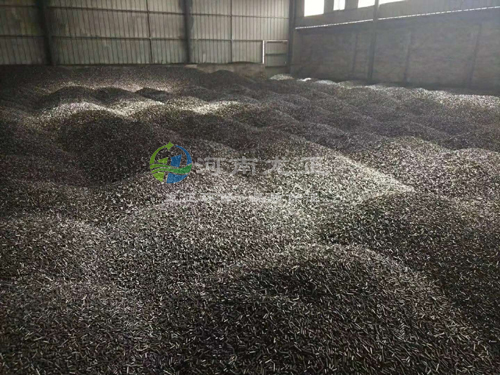 柱狀活性炭成品倉庫